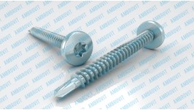 ПОЛУСФЕРИЧЕСКАЯ ГОЛОВКА,  ШЛИЦ TX 